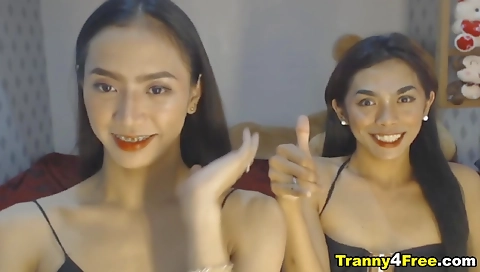 Busty asian shemale is double cocked in her pussy and tits