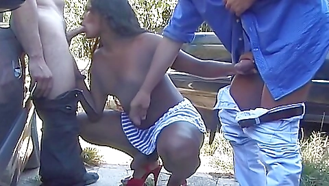 Ebony trans chicks get fucked in a very hot outdoor threesome