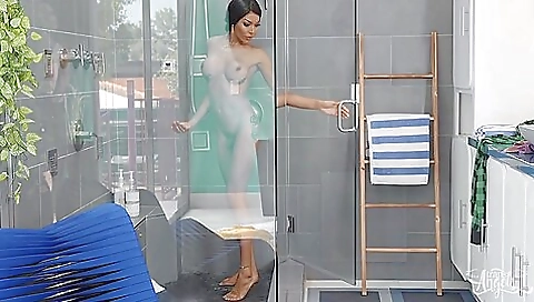 Ebony shemale with big tits gets fucked in the ass